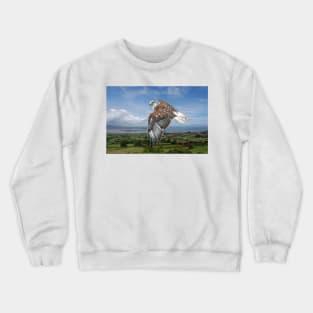 The Red-tailed Hawk over Dungarvin Bay Crewneck Sweatshirt